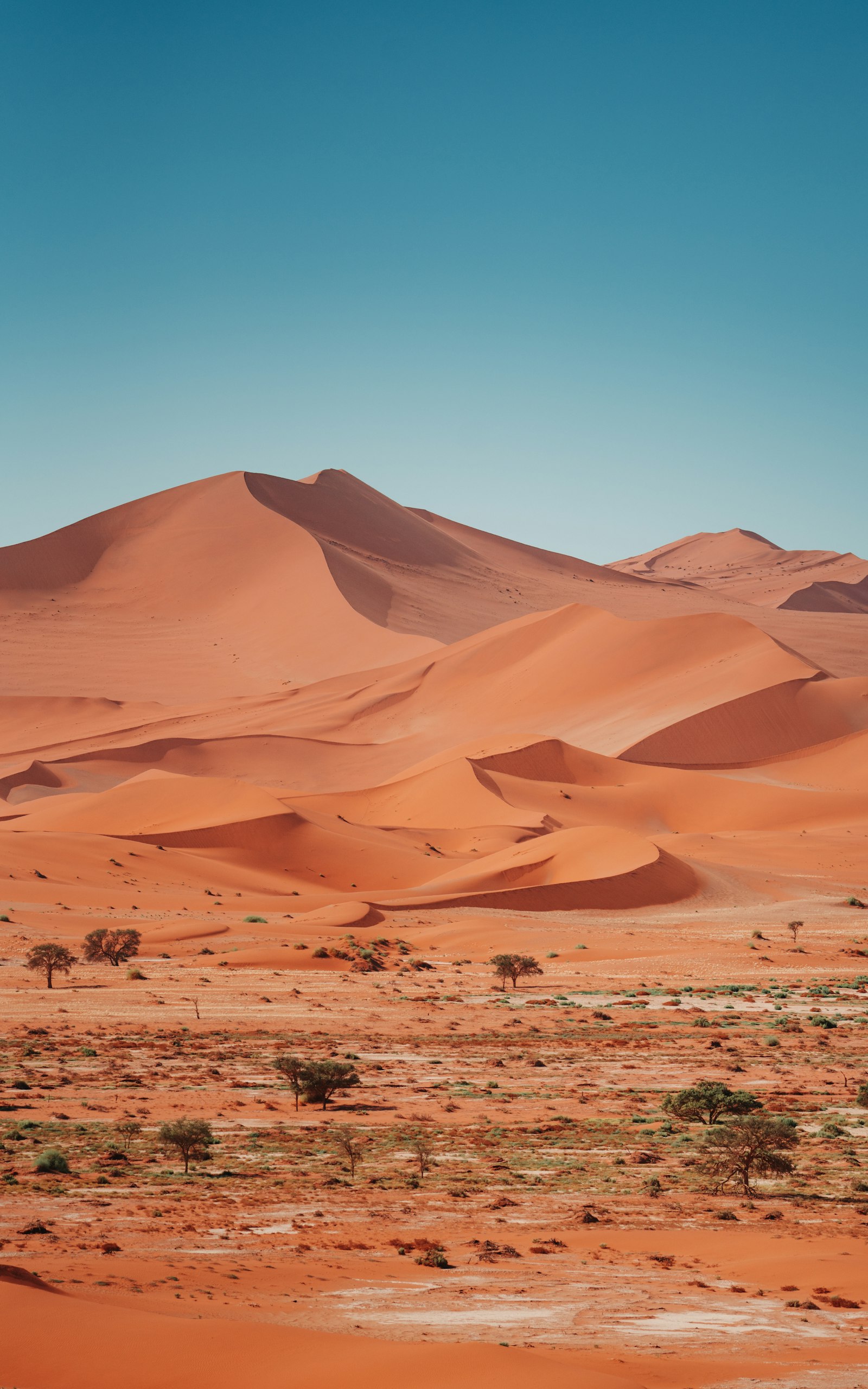 Sossusvlei dunes illuminated by the first light of day